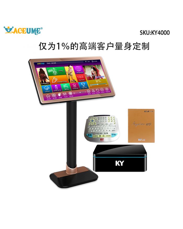 Kumyoung Touch Screen Home Party Korea Korean Karaoke Singing Machine 4TB HDD System + 2 Wireless Microphones + Professional Remote