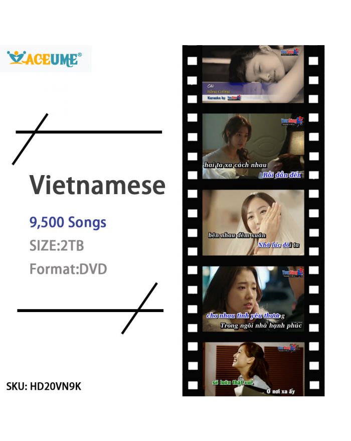 9500 Vietnamese DVD Songs,Stored into 2TB HDD