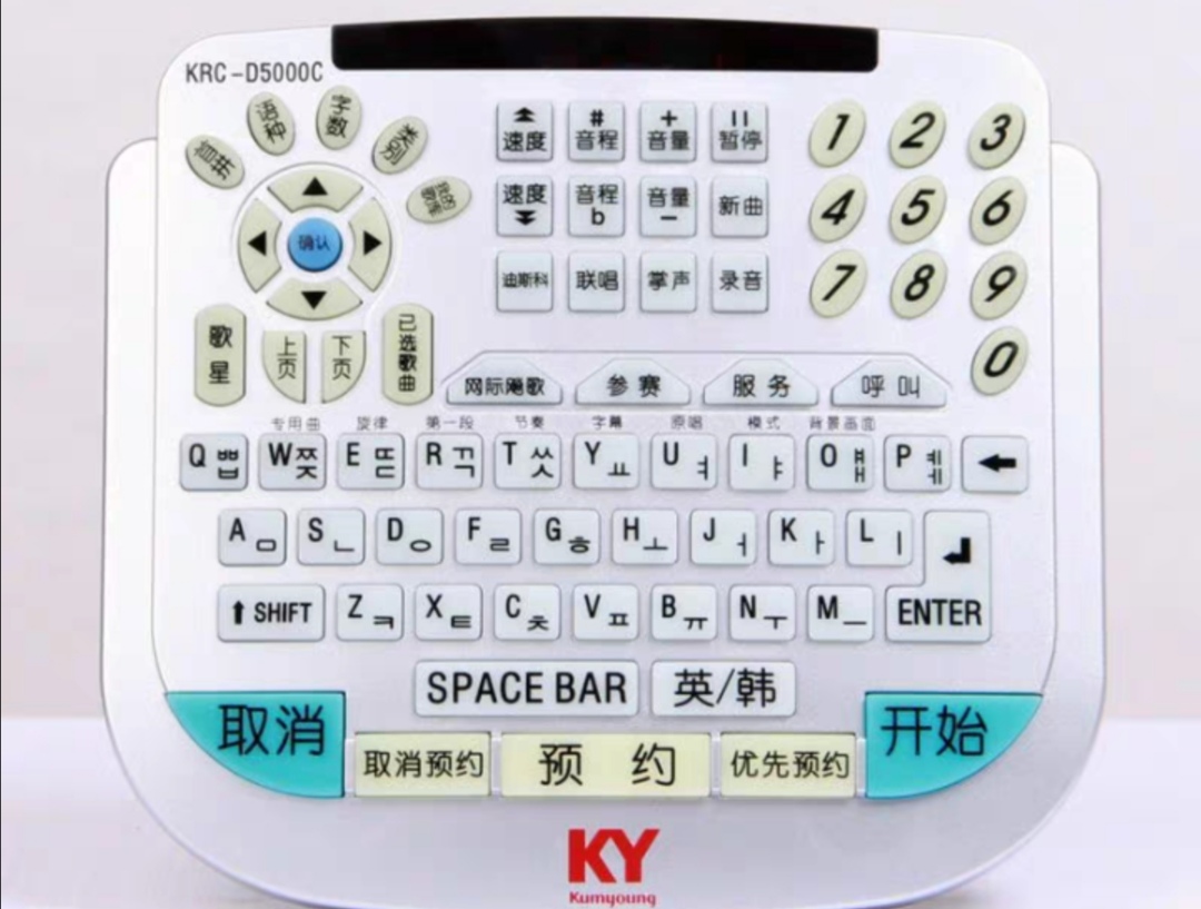 Professional Remote 2 Wireless Microphones Kumyoung Touch Screen Home Party Korea Korean Karaoke Singing Machine 4TB HDD System