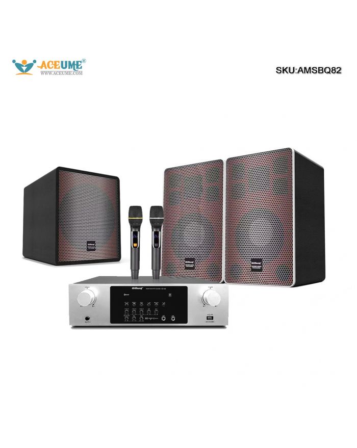 Professional speaker amplifier subwoofer home set