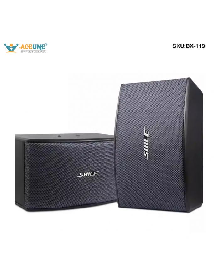 Shile BX-119 Professional 10-inch KTV Karaoke Speakers Background Music Speakers for Conference Training Rooms One Pair