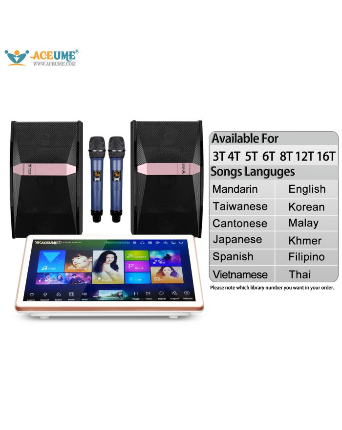 DAM520 Series 3TB 4TB 5TB 6TB 8TB 12TB 16TB Chinese Madarin Cantonese Taiwanese English Janpanese Korean Songs 19" Touch Screen Karaoke Player Cloud Download Microphone Speaker Set