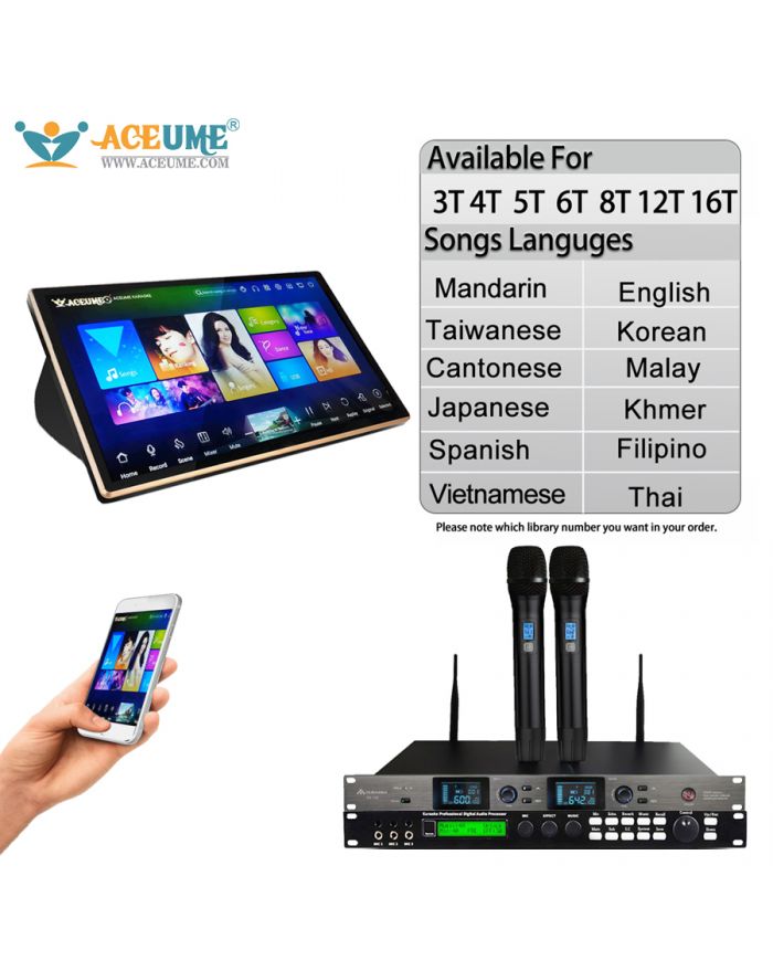 DSK-DBX  Series Mixer Wireless Microphone 4TB HDD 89K Chinese Madarin Songs 19" Touch screen karaoke player Cloud Download
