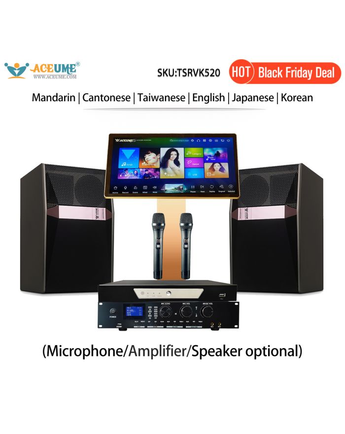 TSRVK520-US 4T 8T 22" MIC Family KTV Singer Audio Set Full Karaoke Machine Home All-in-one Machine WIFI