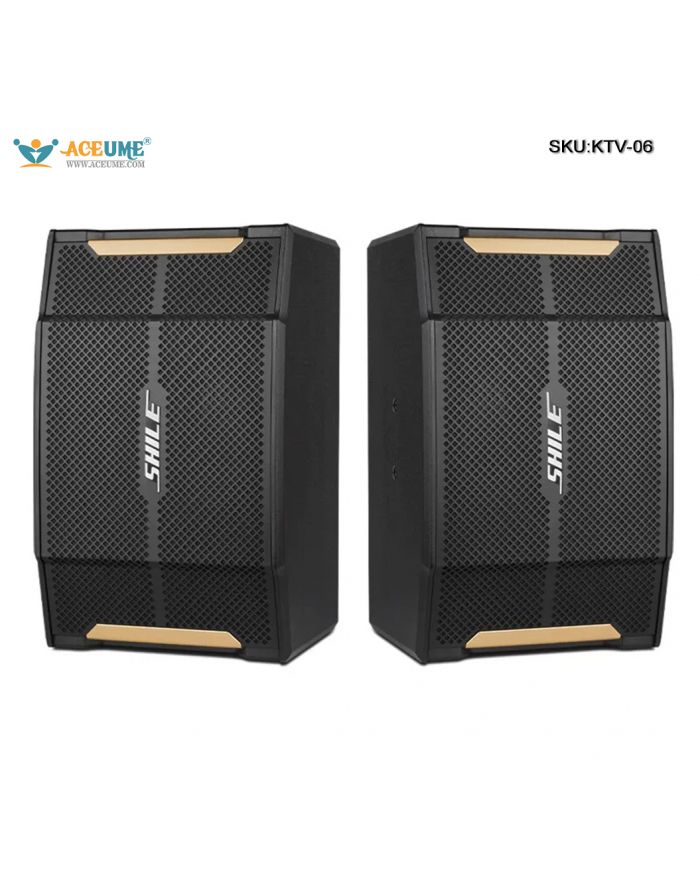 Shile KTV-06 Home Theater Karaoke System Household Singing Audio Equipment Conference Multi-Function Hall Speaker
