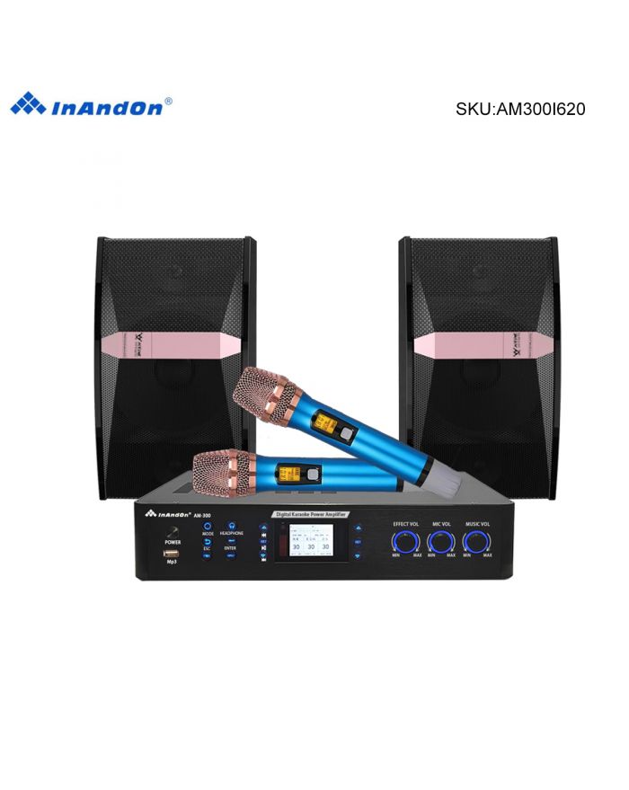 AM300 I620 Inandon 3-in-1 DSP Mixing Mixer Amplifier 2 UHF Wireless Microphone 10 Loud- Speakers Pair