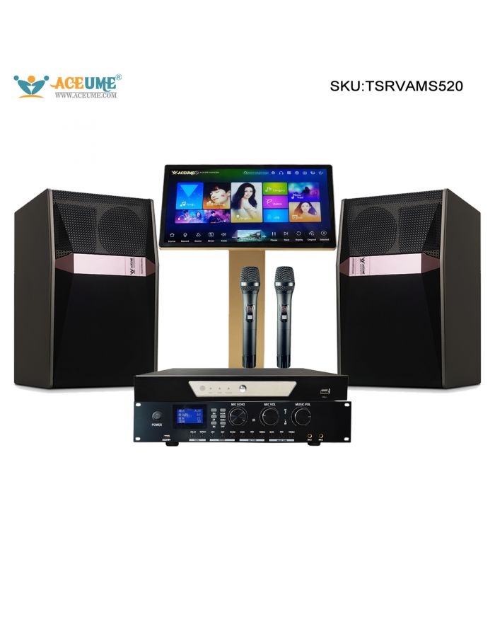 TSRVK520 22" MIC Family KTV Singer Audio  Set Full Karaoke Machine Home All-in-one Machine WIFI