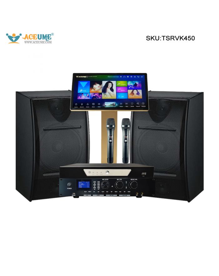 TSRVK450 22" MIC Family KTV Singer Audio  Set Full Karaoke Machine Home All-in-one Machine WIFI