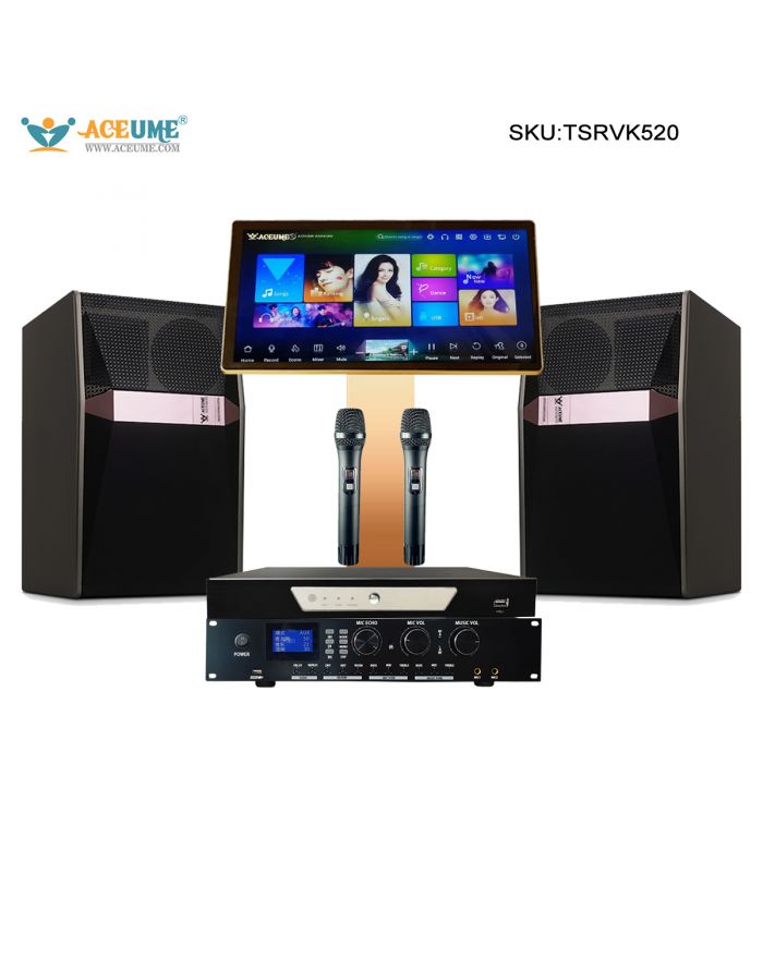 TSRVK520 22" MIC Family KTV Singer Audio  Set Full Karaoke Machine Home All-in-one Machine WIFI